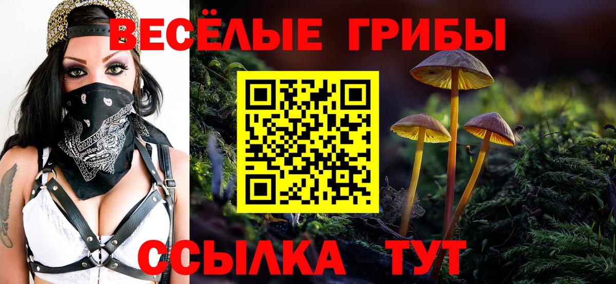 Псилоцибиновые грибы MAGIC MUSHROOMS  купить наркоту  Аргун  Вход с VPN 