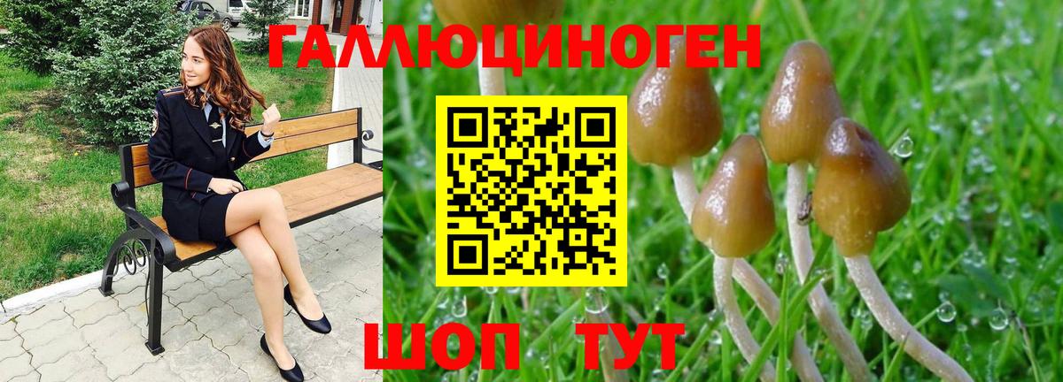 Галлюциногенные грибы Psilocybe Аргун